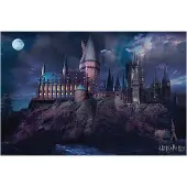 PAN Vision Danmark A/S Hogwarts skolaffisch