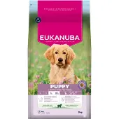 Eukanuba Puppy Large hundfoder med lamm och ris