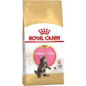 Royal Canin Maine Coon kattmat torrfoder för kattungar 400 g