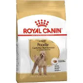 Royal Canin Poodle Adult torrfoder för pudlar 1,5 kg