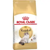 Royal Canin Ragdoll Adult torrfoder för katter 400 g