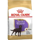 Royal Canin Labrador Retriever Adult Steriliserat torrfoder för kastrerade hundar 12 kg