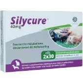 Fendigo Silycure 40 mg kosttillskott för katt och små hundar