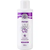 Valquer antioxidant schampo Valquer Lök (1000 ml)