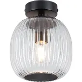 Paulmann 71145 Ruya Takbelysning E14 Glas, Svart (matt)