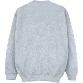 Disney Girls The Lion King Group Sweatshirt (Sports Grey)