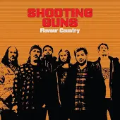 Ginza.se Shooting Guns: Flavour Country