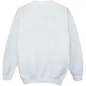 Disney Girls Lilo And Stitch Collegial Sweatshirt (White)