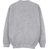 Disney Girls Alice In Wonderland All Mad Here Sweatshirt (Sports Grey)
