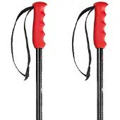 Nordica Freeride Pro Stavar