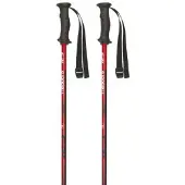 Masters Rental Carbon Stavar