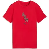 Puma Milan T-Shirt FtblCulture - Röd - , storlek 140 cm