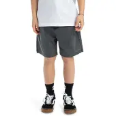 Quiksilver Taxer Shorts