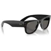 Ray-Ban Mega Wayfarer Black Out 0RB0840S Solglasögon -
