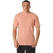 Helly Hansen Tech Logo T-shirt Med Korta ärmar