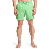 Billabong All Day Simshorts