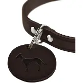 Hunter Aalborg Hundhalsband