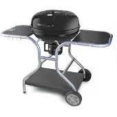 Fieldmann FZG 1014 kolgrill för trädgården, 54 x 54 cm