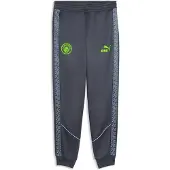 Puma Manchester City King Anthem Pants Men, storlek Large
