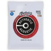 Martin strings LifeSpan 2.0 Fosfor Brons Medium 13-56