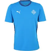 Puma Island Hemmatröja 2026/27 - , storlek Small