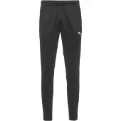 Puma Sportbyxa 'Team Goal' grå / svart