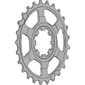 Miche Campagnolo 11s Last Position Kugghjul