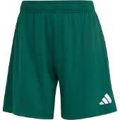 Adidas Sportbyxa 'ENT26' gran