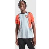 Nike Chelsea Tränings T-Shirt Dri-FIT Academy Pro Pre Match SE - Wolf Grey/Orange/Blå Barn - , storlek L: 147-158 cm