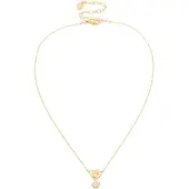 Swarovski Halsband guld / transparent