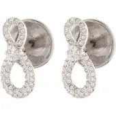Swarovski Örhängen silver / transparent