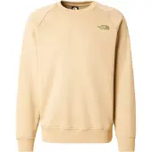 The North Face Redbox Raglan Regular Tröja