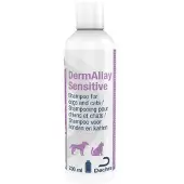 DermAllay Sensitive Shampoo för hund och katt