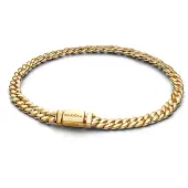 Pandora Timeless guld-platerad armband 564367C00-18