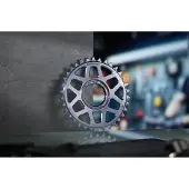 E*thirteen Helix Race E-spec Direct Mount Avinox Kedjehjul
