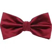 Suitable Satinfluga Bordeaux Bourgogne
