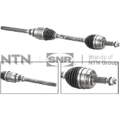 SNR Axel DK55.291
