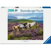 Ravensburger - Wild Horses 2000p