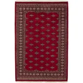 Rezas Pakistan handknotted orientalisk matta 169 x 251 cm