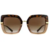 Dolce&Gabbana Solglasögon DG4373 325613 Top Havana på Transparent Brown Brown Gradient