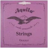 Aquila 96C New Nylgut