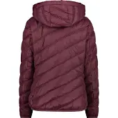 CMP 33k1686 Jacka