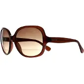 Calvin Klein Cat Eye Dam Kristall Brun Brun Gradient CK19538S