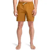 Billabong Every Other Day Simshorts