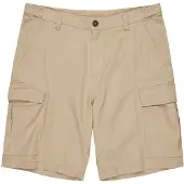 Element Legion Wk Cargo Shorts