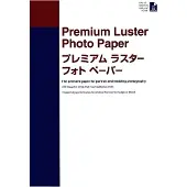 Epson Premium Luster A2 Fotopapper 25 Ark
