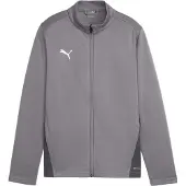 Puma Träningsjacka teamGOAL - Grå/White Barn, storlek 176 cm
