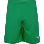 Puma Sportbyxa 'TeamRise' grön / vit