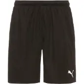 Puma Teamrise Training Shorts