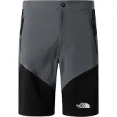 The North Face Felik Slim Shorts
